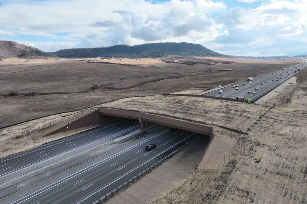 A New Wildlife Crossing in Colorado Has Already Cut Vehicle Collisions by 91 Percent