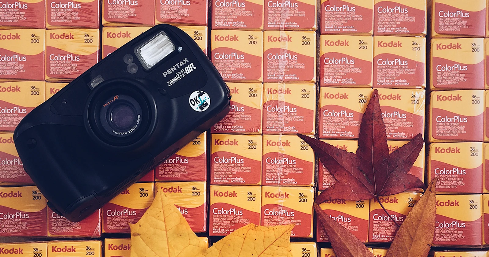 Vintage Tones on a Budget: Why We Love Kodak ColorPlus 200