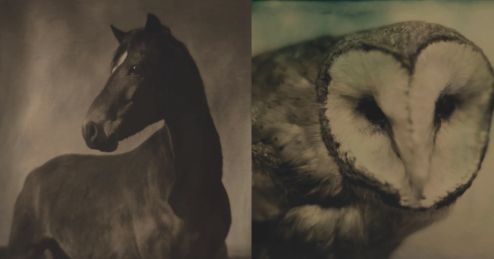 Tintype Photographer Uses Mobile Darkroom to Create Handcrafted Images of Memory and Time