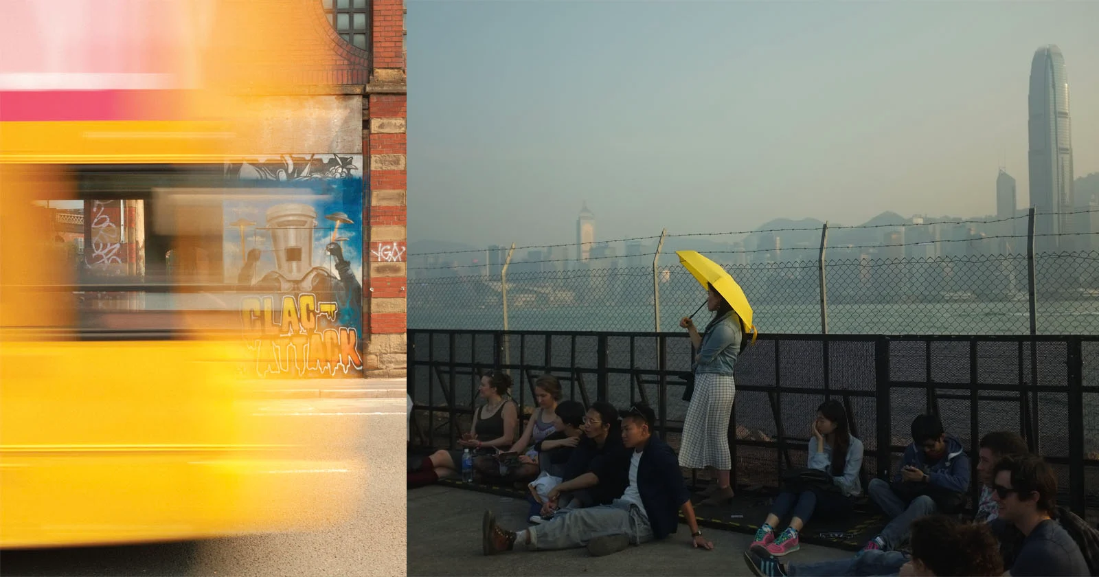 And It Was All Yellow: Photographers Capture Golden Moments Around the World